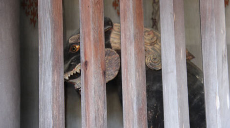 14112201水無神社F山犬.jpg