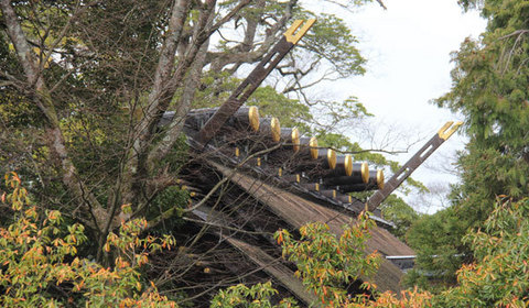 15032913この神社本殿.jpg