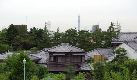 15060506江戸川Fスカイツリ.jpg