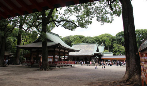 15060601氷川神社J境内.jpg