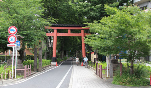 15060602氷川神社A一の鳥居.jpg