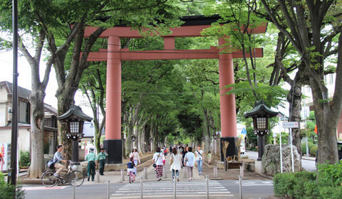 15060602氷川神社U二の鳥居.jpg