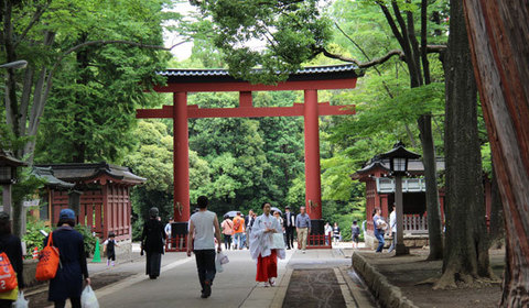 15060602氷川神社Z四の鳥居.jpg
