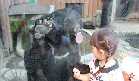 15060609大宮公園CクマE.jpg