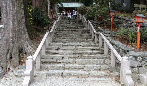 15110601遍路ころがしS焼山.jpg