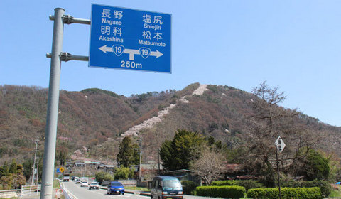 16041505光城山桜廻廊.jpg