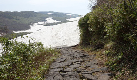 16052008雪渓始まり.jpg