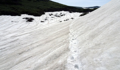 16052009雪渓C.jpg
