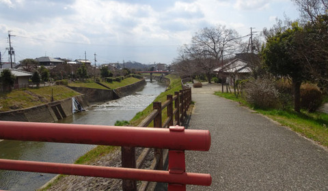 17030901斑鳩へA竜田川ロー.jpg