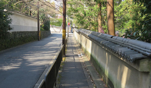 18031402東福寺へB.jpg