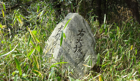 18031508峠道DC.jpg