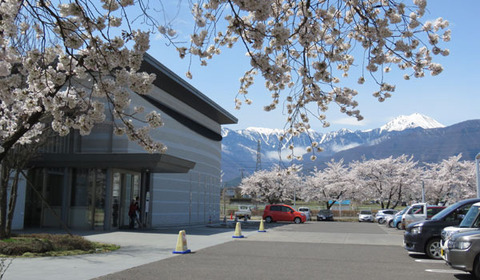 18040501桜A図書館.jpg