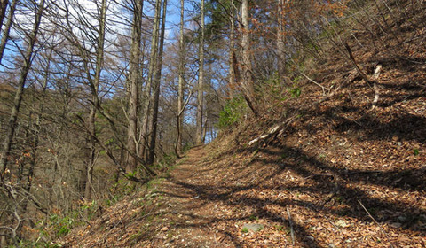 18041306登山道A.jpg