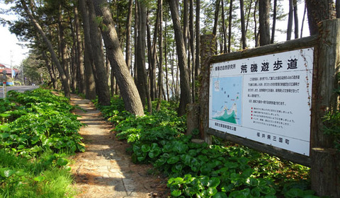 18042006荒磯遊歩道A.jpg