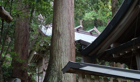 18050913渡津神社EA.jpg