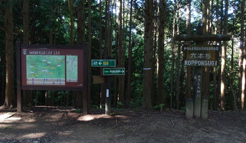 18061401町石道J六本杉.jpg