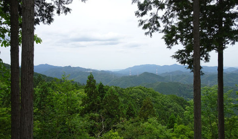 18061401町石道PD景色.jpg