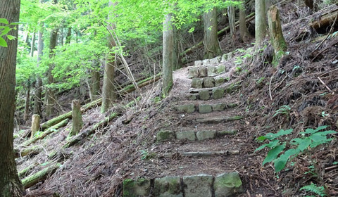 18061401町石道R最後の急坂.jpg