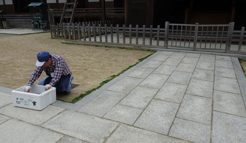18061406金剛峰寺Cお祭り準.jpg