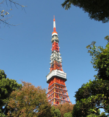 18111501東京タワーF.jpg